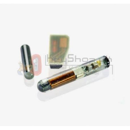 TPX2 Transponder Chip