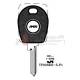 TP00SKO-5.P1